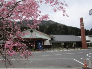 20160408④ (350x263)